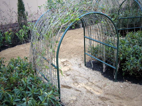 2007�N���i�ʐ^6-1