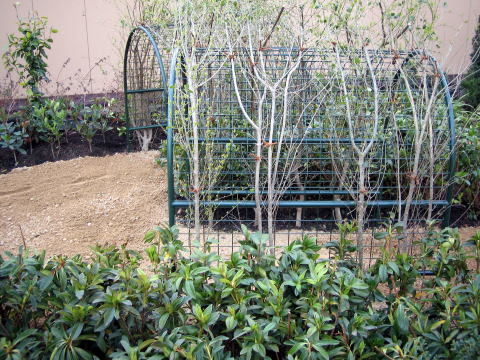 2007�N���i�ʐ^6-2