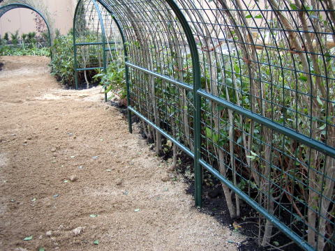 2007�N���i�ʐ^6-3