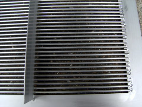 2009�N���i�ʐ^9-3