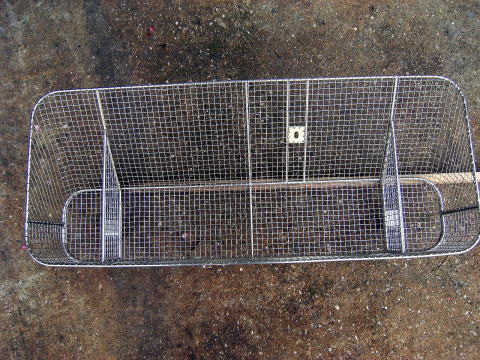 2010�N���i�ʐ^3-2