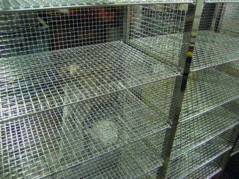 2010�N���i�ʐ^6-2