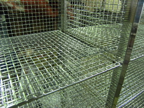 2010�N���i�ʐ^6-3