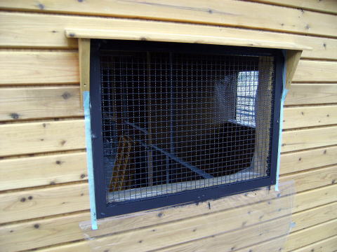 2011�N���i�ʐ^6-1