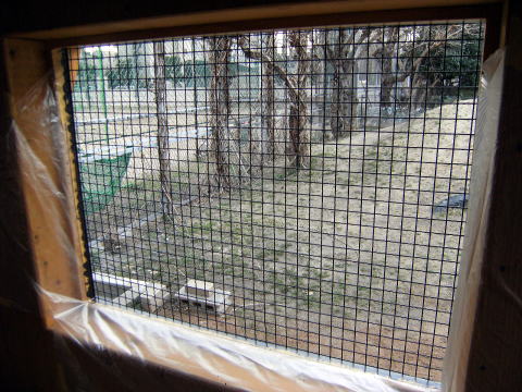 2011�N���i�ʐ^6-2