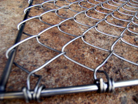 2013�N���i�ʐ^6-2